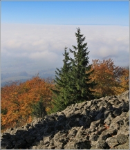 <p>Lužické hory - na Studenci</p>